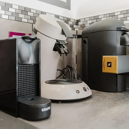 Σπίτι διακοπών Strasbourg - *